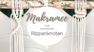 Makramee Rippenknoten  Anleitung für Anfänger  DIY [upl. by Ruthi534]