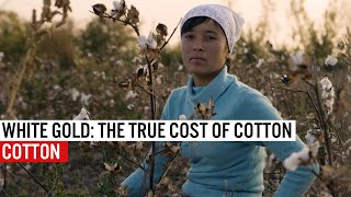 White Gold  The True Cost Of Cotton [upl. by Nicodemus]