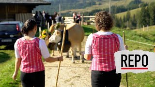 Alpabzug Plaffeien mit der Famile Burri [upl. by Eerdua]