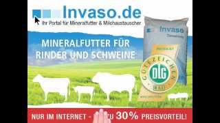 wwwinvasode  Ihr Portal für Mineralfutter und Milchaustauscher [upl. by Jessi]