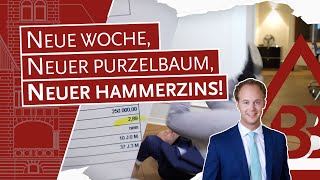 Neue Woche neuer Purzelbaum neuer Hammerzins [upl. by Airdnalahs899]