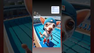 Chihuahua Jumps Off Diving Board GamerChadPlays memes [upl. by Sybley120]