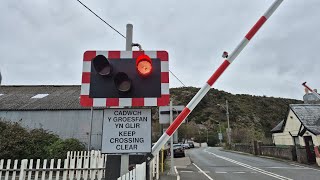 Pwllheli Goods Level Crossing Gwynedd 30102024 [upl. by Esadnac]