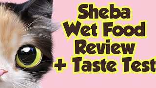 Cat Food  Sheba Wet Food Review  Taste Test youtubevideos cats awwanimals [upl. by Russ]