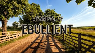 What is the meaning of Ebullient [upl. by Yuille]