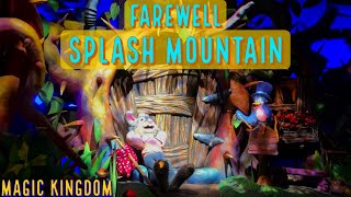 Farewell Splash Mountain at the Magic Kingdom  My Last Ride on a Classic Attraction [upl. by Eenwahs]