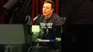 Rogan and Musk on Why John Wick is the Best Movie [upl. by Orazal]