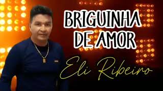 Linda Musica Do Eli Ribeiro Briguinha De Amor Divulgadora Veronica [upl. by Acnairb244]