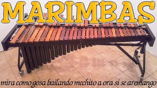 marimba mix 🧨 mira como gosa bailando mechito a ora si se aremango 🕺💃marimba la reyna de chiapas [upl. by Blackwell]