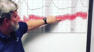 Polygraph How It Works [upl. by Jarrett]