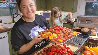 Natures Fruit Snack  Dehydrating Cherry Tomatoes  Every Bit Counts Challenge [upl. by Kcirdorb228]