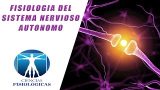 Fisiologia del Sistema Nervioso Autonomo [upl. by Elrak366]