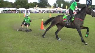 Horseboarding Is the Coolest Sport You Should be Doing [upl. by Linders]