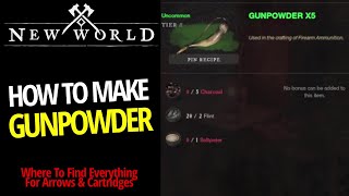 Beginners Guide To Ammunition  New World [upl. by Suolekcin]