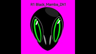 R1 Black Mamba Gaming [upl. by Rehtnug287]