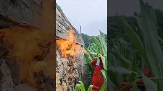 Process of Eliminating Wasp Nests with a Flamethrower [upl. by Wenz191]