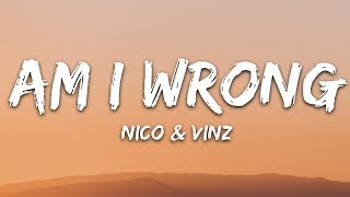 Nico amp Vinz  Am I Wrong Lyrics [upl. by Haroppizt]