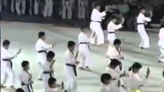 Okinawan Karate and Kobudo Festival 1990 [upl. by Attirehs]