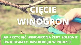 Cięcie winorośli Jak to zrobić [upl. by Burgener]