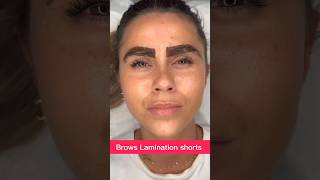 Brows Lamination shorts 23 makeuptutorial juliedesigner youtubeshorts eyebrows [upl. by Maynord]