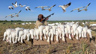 Decoying Snow Geese Over a Tiny Spread CLOSE SHOTS [upl. by Elreath]