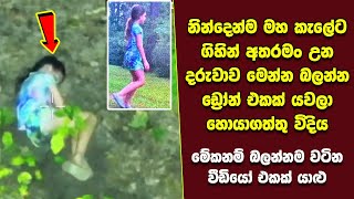 ඔබ මේවා දකින්නේ ජිවිතේ පළමු වතාවට EP392 [upl. by Mariand768]