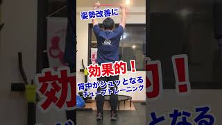 【チューブトレーニング】姿勢改善に効果的！？背中がシュッとなるチューブトレーニング チューブトレーニング おうちトレーニング 筋トレ トレーニング [upl. by Adnac]