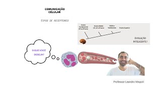 Farmacologia Farmacodinâmica tipos de receptores [upl. by Mcclish]