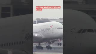 Asiana airlines Airbus A380 landing at LAX Airport seattleflights asianaairlines laxairport [upl. by Novek536]