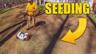 Planting Grass seed  Reseeding Lawn  Overseeding [upl. by Schoenfelder]