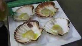 RECETTE Coquilles Saint Jacque par Gilles Epié sur CuisineO [upl. by Eleets]