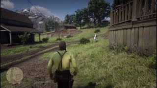 Red Dead Redemption 2 Sadies harmonica location [upl. by Nirtiak]