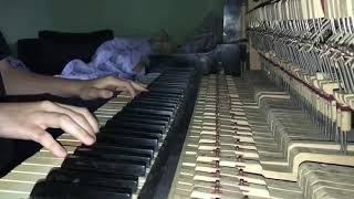 wet hands  Minecraft played on an out of tune piano [upl. by Etnomed]