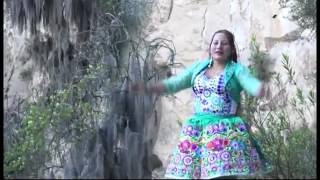 CLAVELINA DE VILCASHUAMAN 2016 GITANA ARPA Y VIOLIN SUR [upl. by Resneps941]