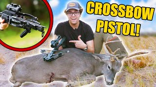 First Hunt With PISTOL CROSSBOW Buck Kill [upl. by Eiahpets]