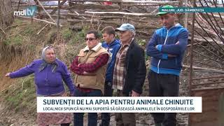 SUBVENTII DE LA APIA PENTRU ANIMALE CHINUITE YOUTUBE [upl. by Anillek]