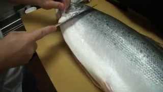 How To Fillet a Whole Salmon  How To Make Sushi Series [upl. by Tarsuss]