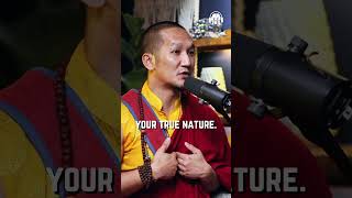 What Is The Meaning Behind Avlokiteshvara Palga Rinpoche Explains shorts [upl. by Oiznun]