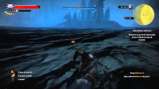 The Witcher 3 sur Pc concurrence déloyale Full Ultra  HD [upl. by Atteuqahs327]