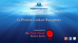 G Protein linked 2nd Messengers G protein coupled receptors GPCRs [upl. by Narmis]