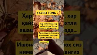 🌞 ХАЙРЛИ ТОНГ  ХАЙРЛИ ТОНГ ТИЛАКЛАРИ HAYRLI TONG love funny trendingshorts reels ytshorts yt [upl. by Bullard]