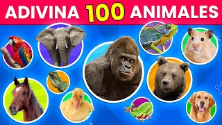 Adivina los 100 ANIMALES 🐢🐯🐌  ¿Cuántos Animales Reconoces 🤨 [upl. by Nelle]