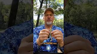 Master the Weedless Fishing Technique for Fall Success [upl. by Ahsatniuq]