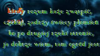 KARAOKE Wielka Miłość  Seweryn Krajewski [upl. by Nolat483]