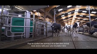 Robot de traite GEA DairyRobot  GAEC Lebouvier [upl. by Ynnek]