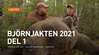 Björnjakten 2021 del 1 [upl. by Yelhs]