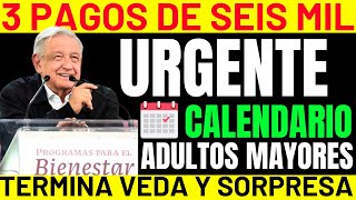 📅Pensión 2024 Nuevas Fechas y Calendario💲💲para Adultos Mayores y Personas con Discapacidad [upl. by Eldin323]