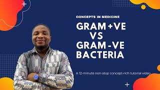 Gram Positive ve vs Gram Negative ve Bacteria [upl. by Ahsial]