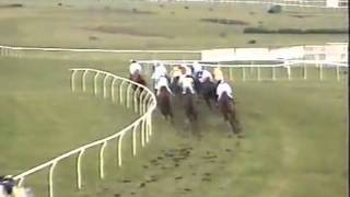 Collier Bay The 1996 Champion Hurdle Cheltenham [upl. by Asiuqram]