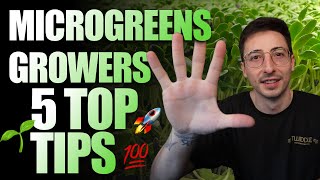 Top 5 Tips For Beginner Microgreen Growers 2024 [upl. by Ravert]